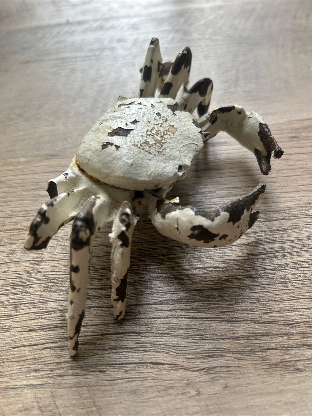 Rustic Ocean Crab Accent Decor for Home